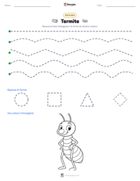 Anteprima della scheda stampabile di Termite