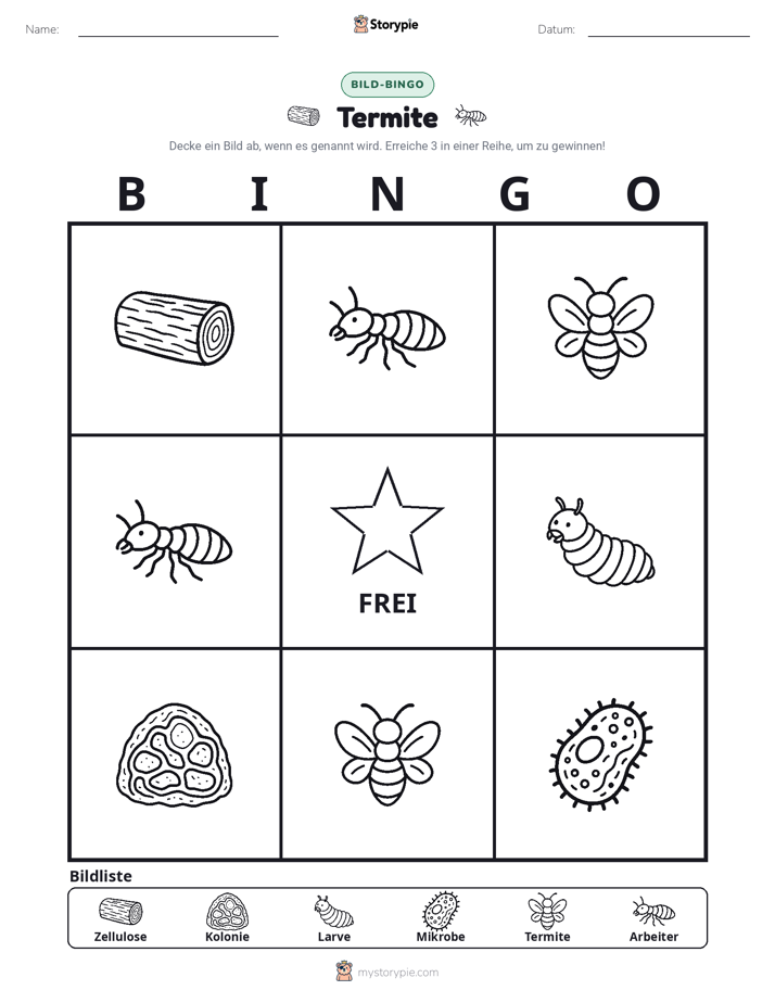 Bild-Bingo