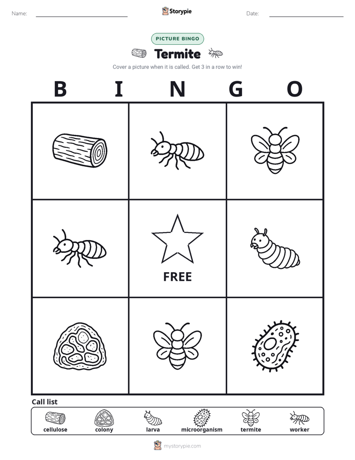 Picture Bingo