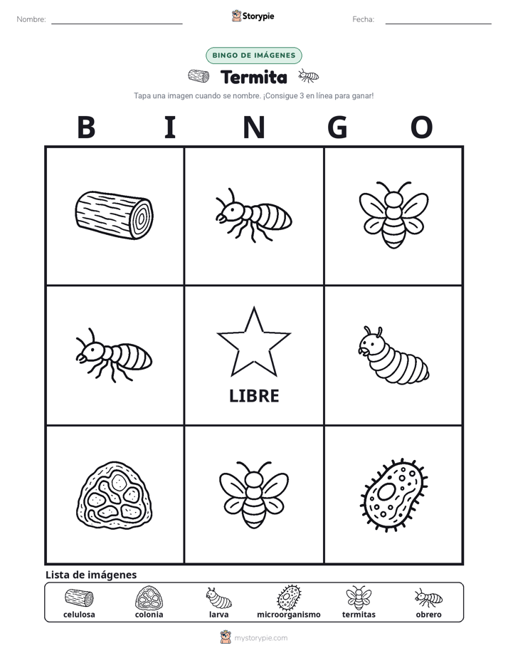 Bingo de Imágenes