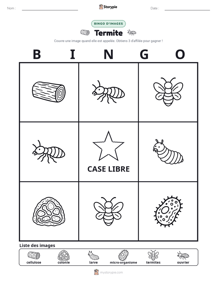 Bingo d'Images