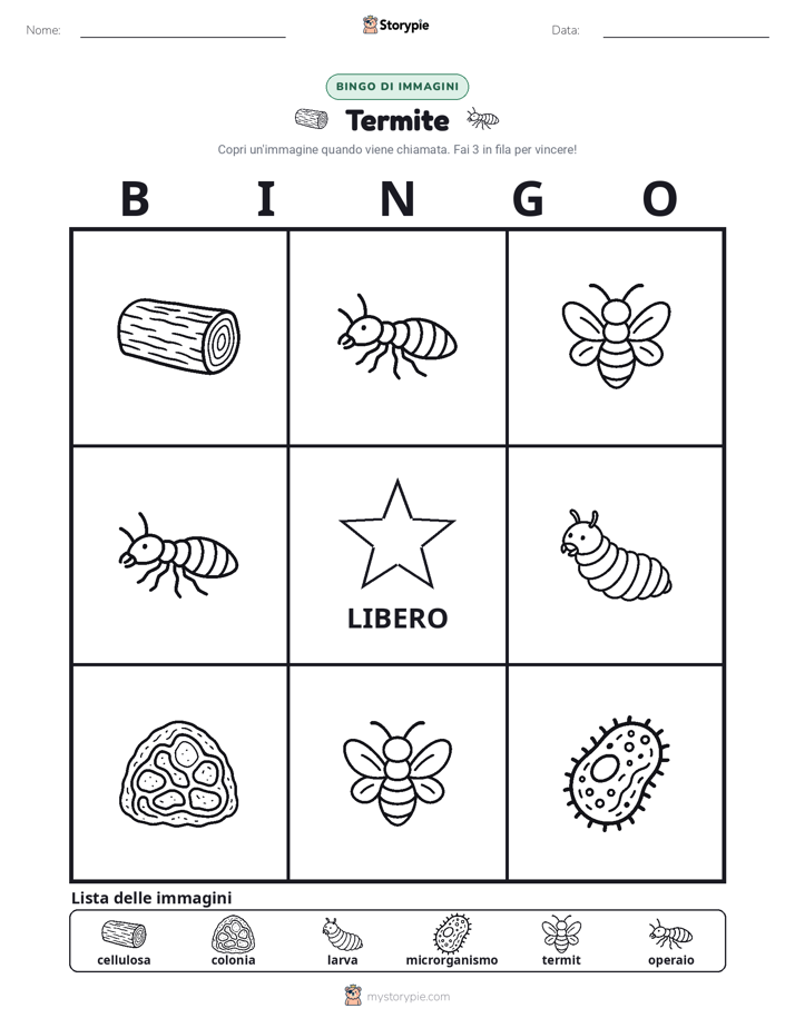 Bingo delle Immagini