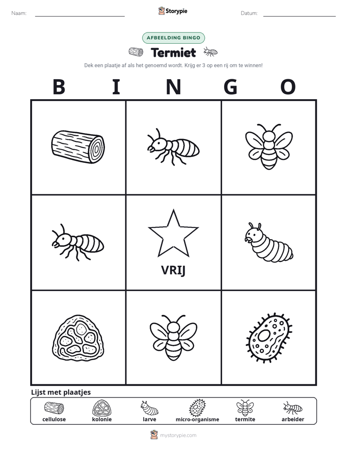 Afbeelding Bingo