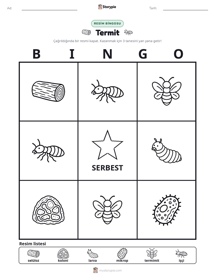 Resim Bingo