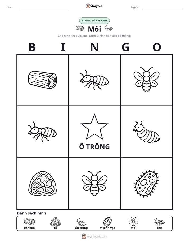 Bingo Hình Ảnh