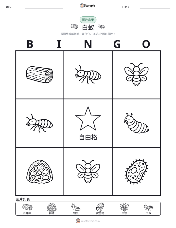 图片宾果
