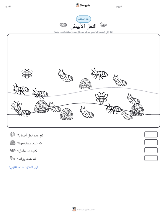 مشهد العد