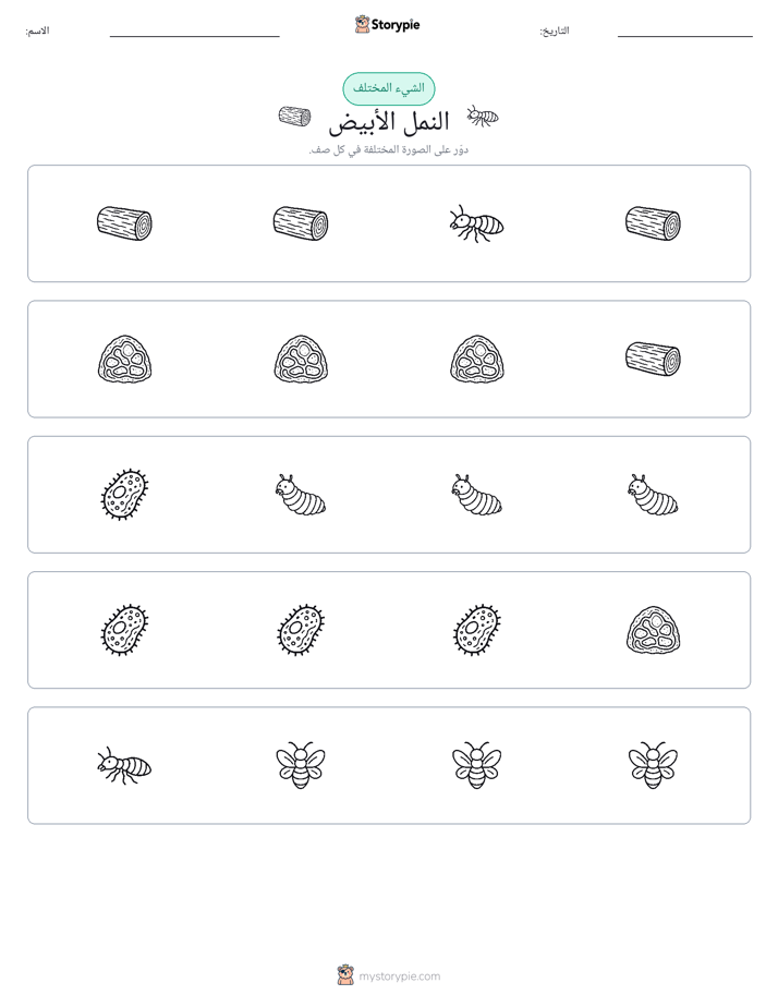 الغريب