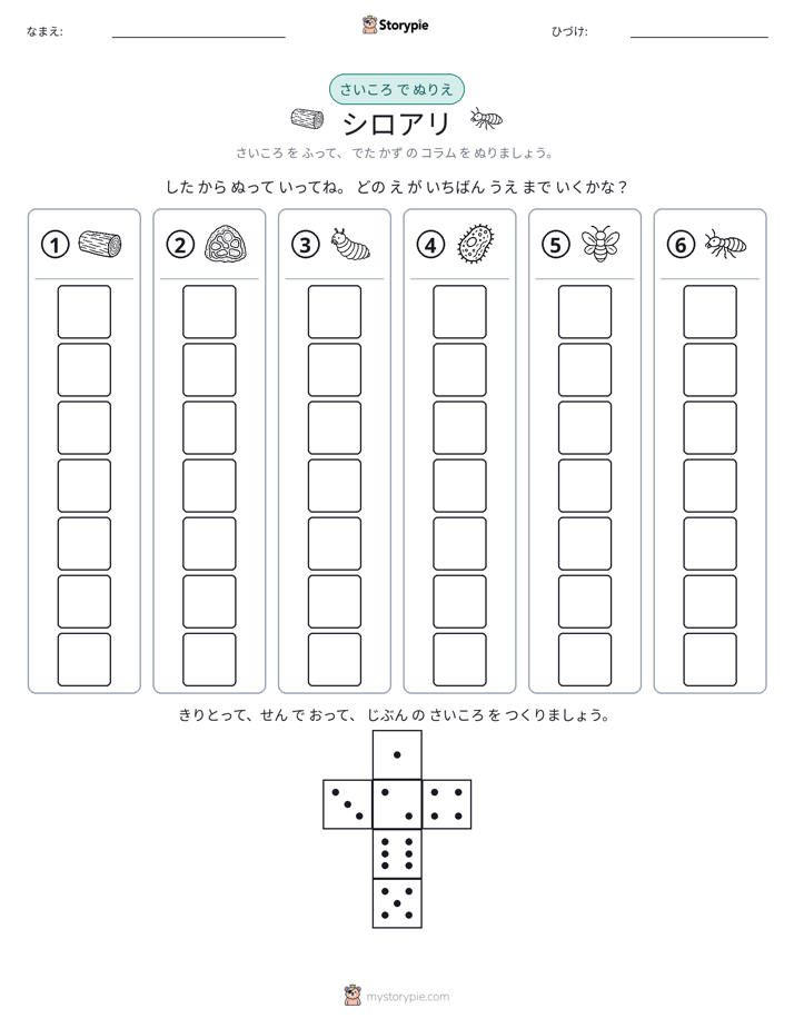 ロール＆カラー