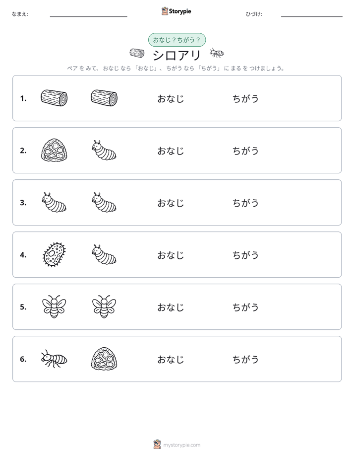 同じか違うか