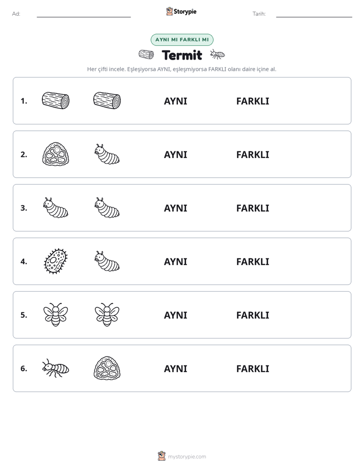 Aynı mı Farklı mı