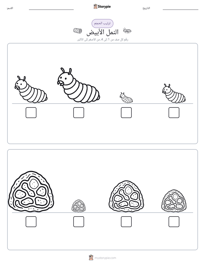 ترتيب الحجم