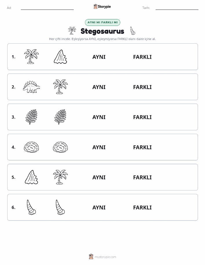 Aynı mı Farklı mı