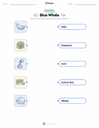 Blue Whale printable worksheet for kids