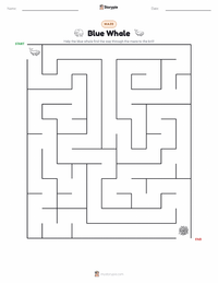 Blue Whale printable worksheet preview