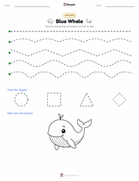 Blue Whale printable worksheet preview