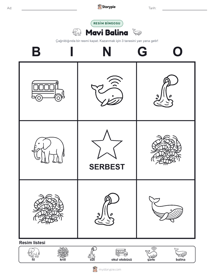 Resim Bingo