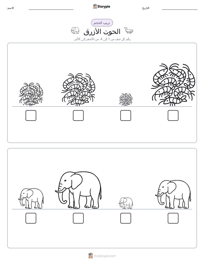 ترتيب الحجم