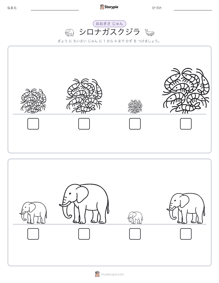 サイズ順
