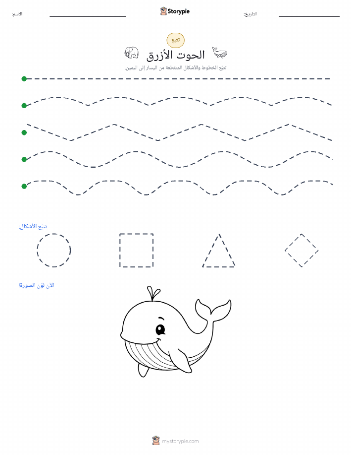 تتبع