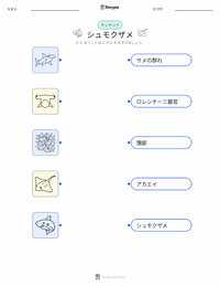 シュモクザメ の子供向け印刷可能ワークシート