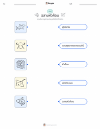 ฉลามหัวค้อน แบบฝึกหัดที่พิมพ์ได้สำหรับเด็ก