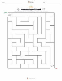 Hammerhead Shark printable worksheet preview