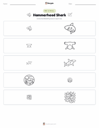 Hammerhead Shark printable worksheet preview