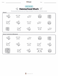 Hammerhead Shark printable worksheet preview