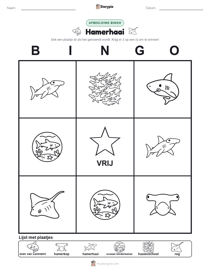 Afbeelding Bingo