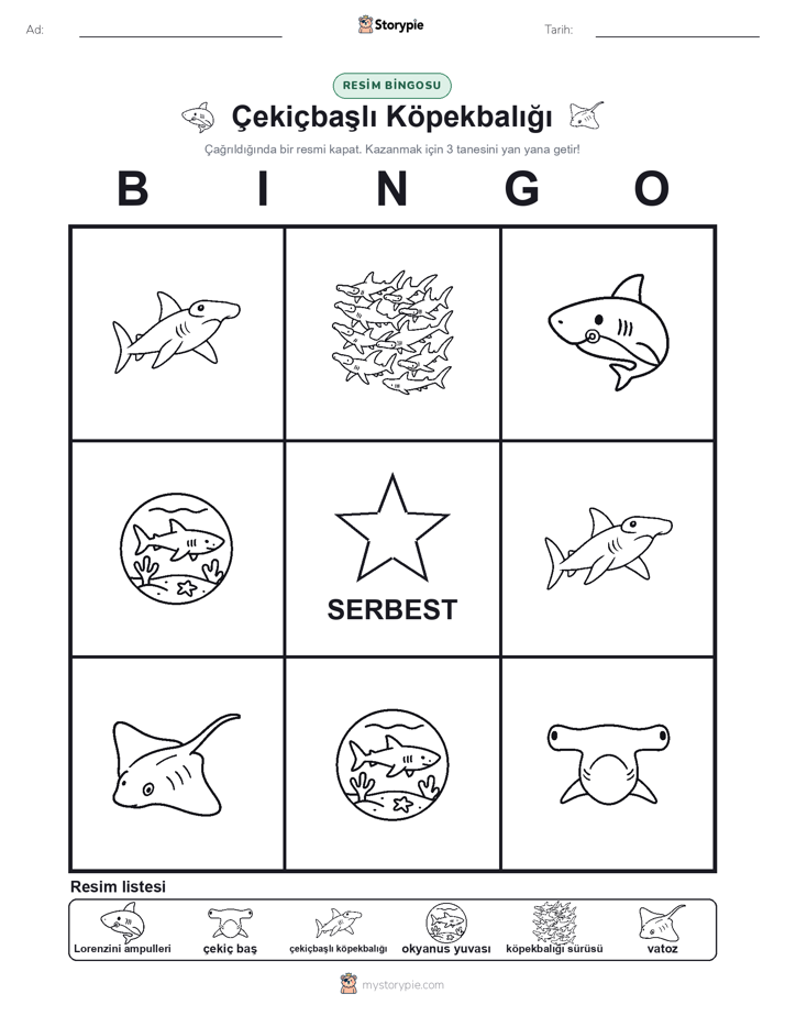 Resim Bingo