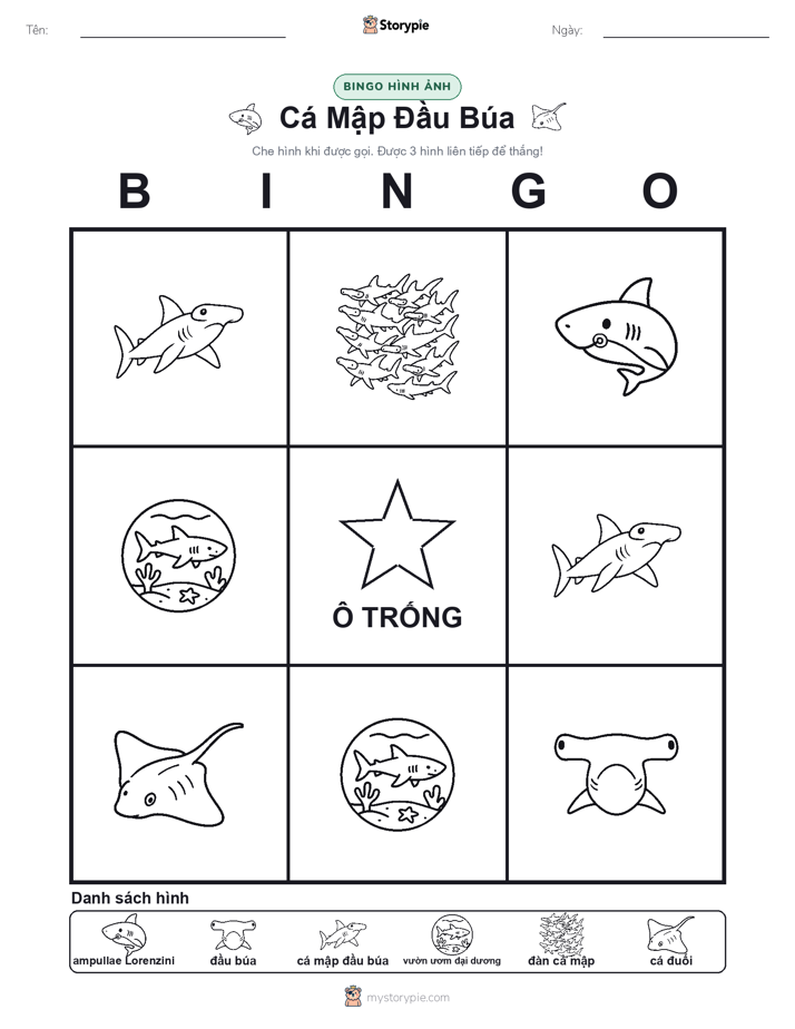 Bingo Hình Ảnh