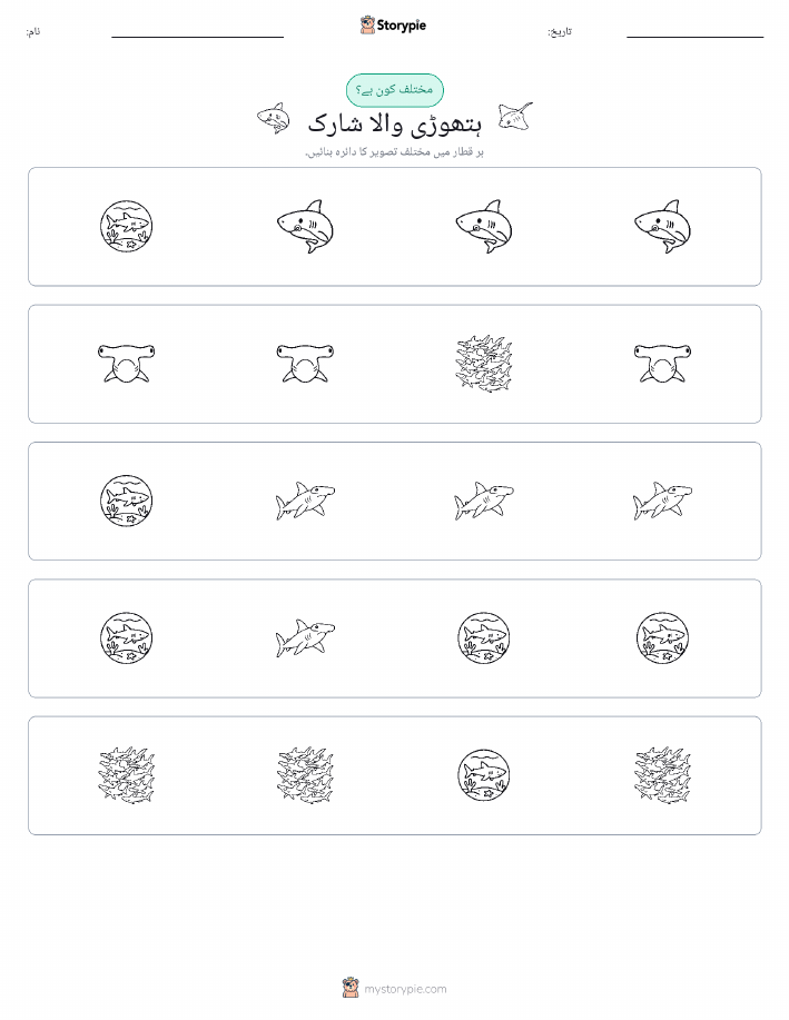 عجیب ایک