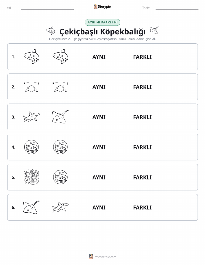 Aynı mı Farklı mı