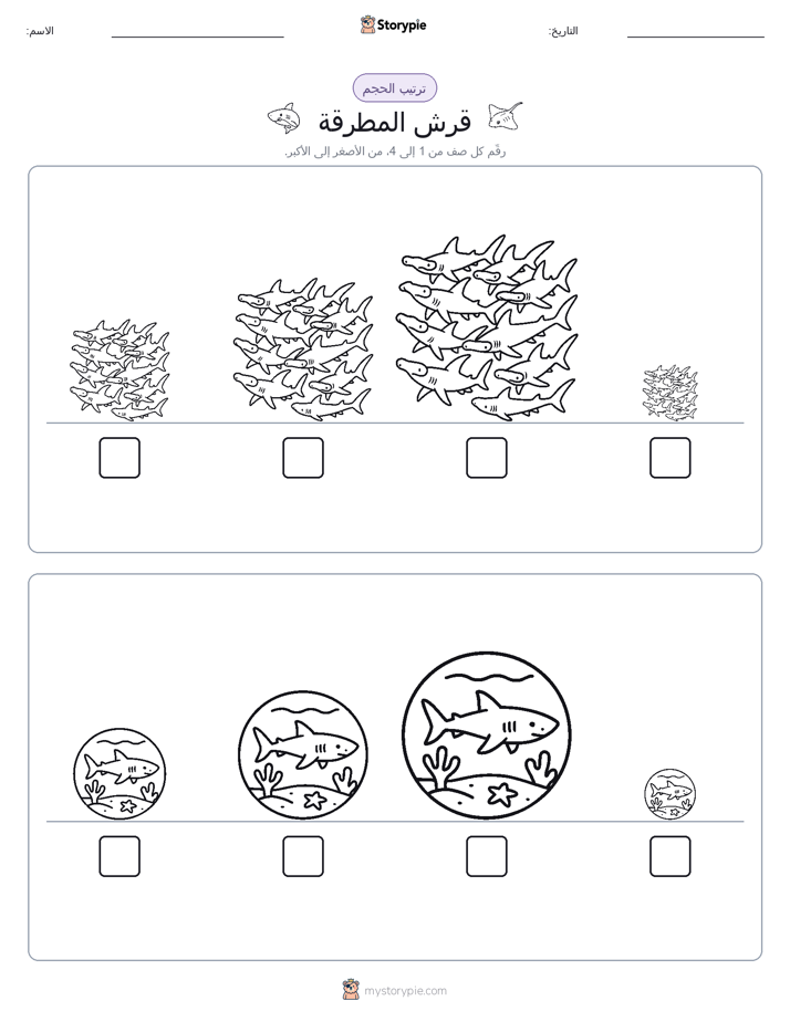 ترتيب الحجم