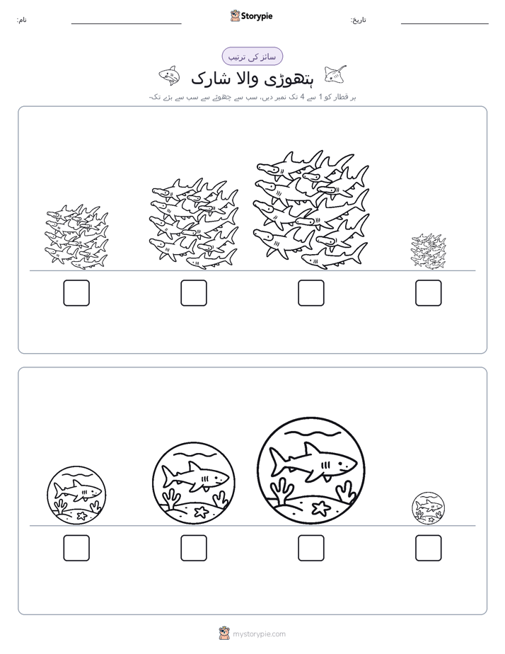 سائز کی ترتیب