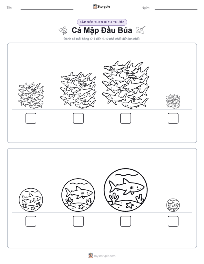 Thứ Tự Kích Thước