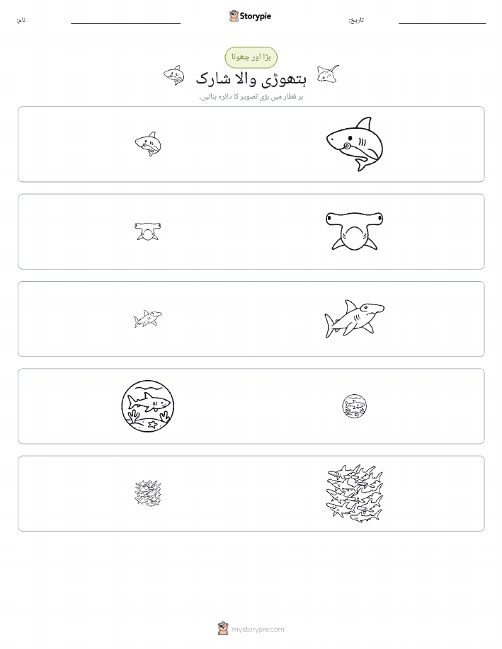 ترتیب دینا