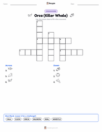 Orca (Killer Whale) printable worksheet preview