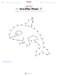 Orca (Killer Whale) printable worksheet preview