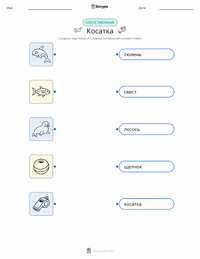 Косатка (Касатка-убийца) распечатываемый рабочий лист для детей