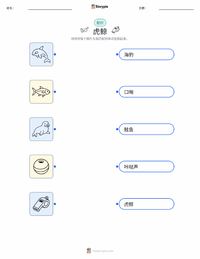 虎鲸（杀人鲸） 可打印工作表，适合儿童
