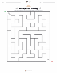 Orca (Killer Whale) printable worksheet preview