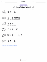Orca (Killer Whale) printable worksheet preview