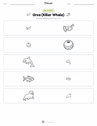 Orca (Killer Whale) printable worksheet preview