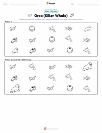 Orca (Killer Whale) printable worksheet preview