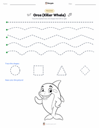 Orca (Killer Whale) printable worksheet preview