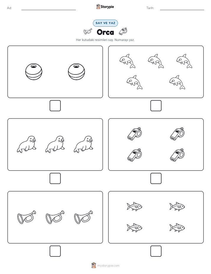 Say & Yaz