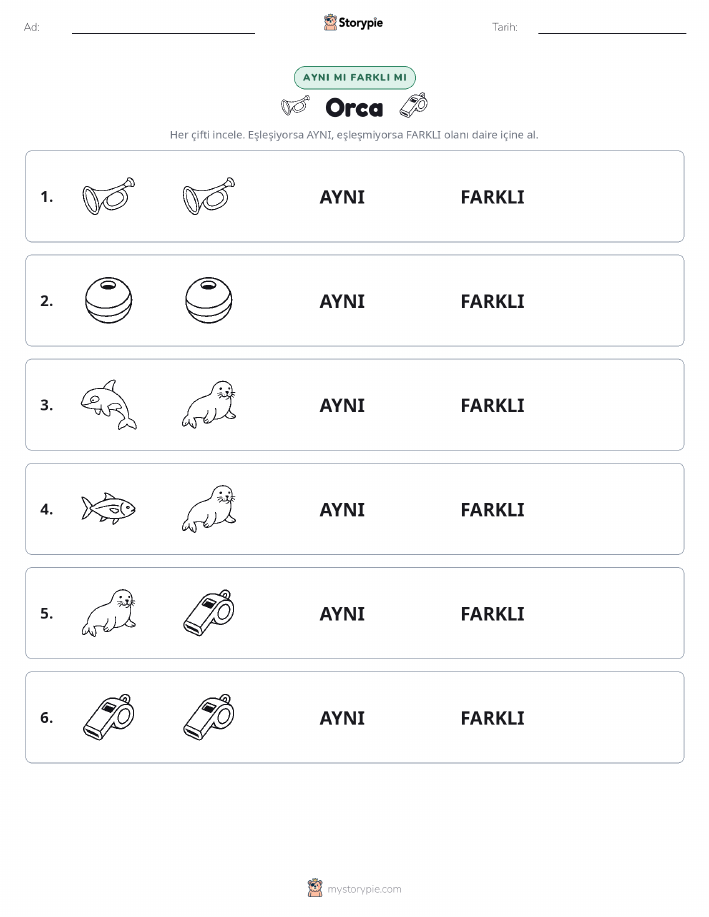 Aynı mı Farklı mı