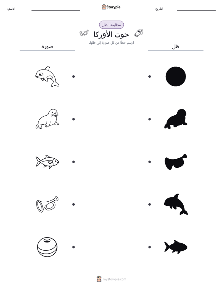 مطابقة الظل